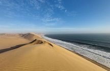 Swakopmund: 3 in 1, Kayaking, Sandwich Harbour & Sandboard Combo