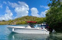Excursion to the François Islands Swimming and Aperitif Included