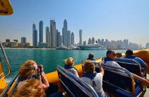 Dubai City Tour and Red Dune Safari