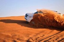Dubai City Tour and Red Dune Safari