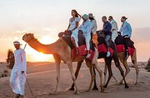 Dubai City Tour and Red Dune Safari