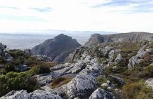 Table Mountain Cable Car Half-Day Tour from Cape Town