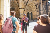 Prague Castle and Charles Bridge Tour with Interior Option
