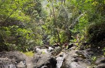 Sidemen Private Tour with Water Rafting and Gembleng Waterfall