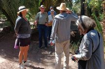 Private Skoura Oasis Walking Tour and Homemade Meal with Locals