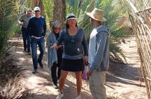 Private Skoura Oasis Walking Tour and Homemade Meal with Locals