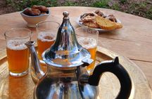 Private Skoura Oasis Walking Tour and Homemade Meal with Locals
