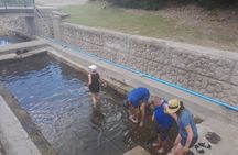 Nevis Hot Springs And Beach Time