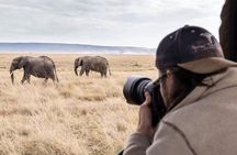 7 Day Tanzania Migration Safari