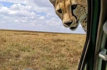 7 Day Tanzania Migration Safari