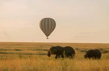 7 Day Tanzania Migration Safari