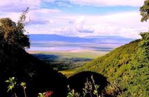 Ngorongoro Crater Private Day Safari from Arusha