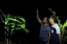 La Fortuna Wildlife Walking Night Tour near Arenal Volcano