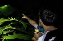 La Fortuna Wildlife Walking Night Tour near Arenal Volcano