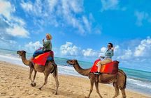 Private Tangier Day Tour from Gibraltar