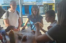 City,Culture &Township:District Six, Bo‑Kaap and Langa in One Day