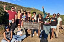 Table Mountain, Peninsula and Penguins Tours