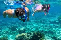 Rainbow Springs Paddle Craft Rentals