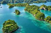 Samana Full-Day Tour from Punta Cana: Waterfall & Bacardi Beach