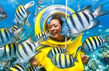 Punta Cana Scuba Doo: Underwater Scooter Adventure