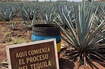 The Premium Tequila route