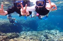 Ishigaki Blue Cave Snorkeling and Taketomi Island Sightseeing