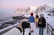 Full Day Tour in Senja National Scenic Route from Tromso