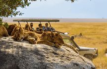 4 Days 3 Night Serengeti and Ngorongoro Safari