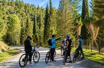 Montes de Malaga Natural Park E-Mountain Bike Tour