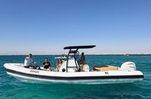 Hurghada Private Speedboat Dolphins, Snorkeling and White Island