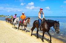 Horseback Riding and City Tour with Rum and Chocolate Factory