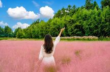 3 Day Bus Tour in Jeju UNESCO East, South and West Highlights