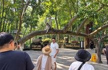 All Inclusive Ubud Tour with Rice Terrace, Waterfall and Temple