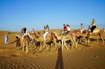 2-Day, 1-Night Zagora Desert Tour – Group & Private Options