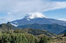 7 Day Kilimanjaro, Serengeti & Ngorongoro Adventure