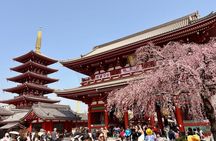 Tokyo Private Half-Day Highlights Tour by Car with Guide