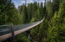 Vancouver 1-Day Tour(Capilano/Lookout Tower /Stanley Park)English