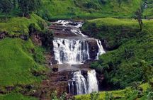 Kandy to Nanuoya, Ambewela Drop trip with Train Tickets