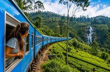 Kandy to Nanuoya, Ambewela Drop trip with Train Tickets