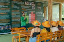 Phuket Elephant Observation Hour and Canopy Walk