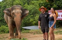 Phuket Elephant Observation Hour and Canopy Walk