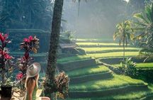 Bali Volcano, Dance, Temple & SPA Escape: All inclusive