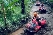 Bali Wild Ride: ATV, Volcano & Ubud Adventure