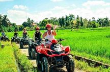 Bali Wild Ride: ATV, Volcano & Ubud Adventure