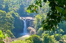 Bali Wild Ride: ATV, Volcano & Ubud Adventure