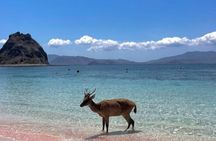Lombok: Pink Beach, Gili Petelu, and Gili Gambir Island Hopping