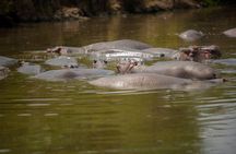 5 Days Tanzania Midrange Group Camping Safari