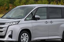 Singapore Private Car Tour with Licensed Guide: Day or Night