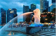 Singapore Private Car Tour with Licensed Guide: Day or Night