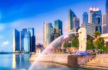 Singapore Private Car Tour with Licensed Guide: Day or Night